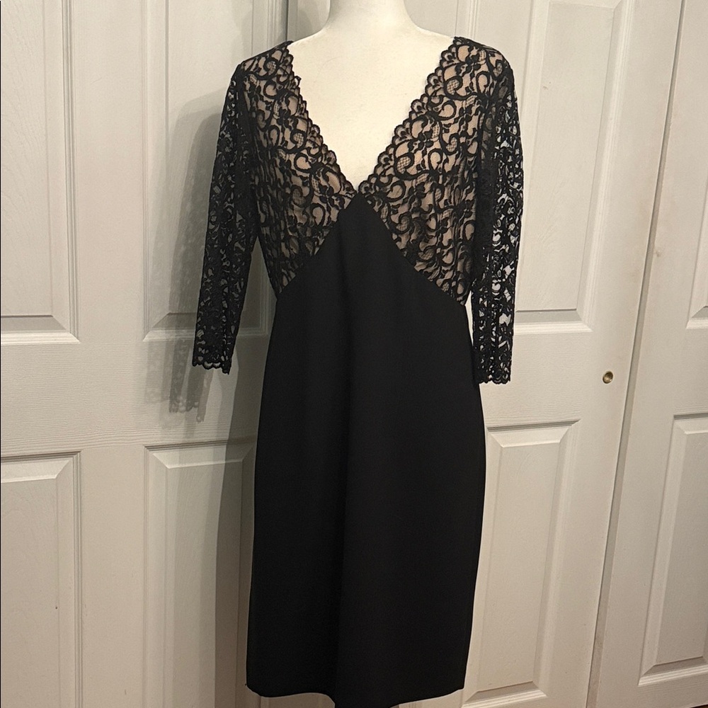 Chic Black Lace Long Sleeve Dress